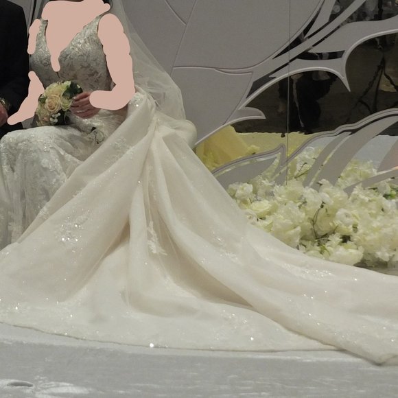 Wedding Dress - Picture 9 of 10